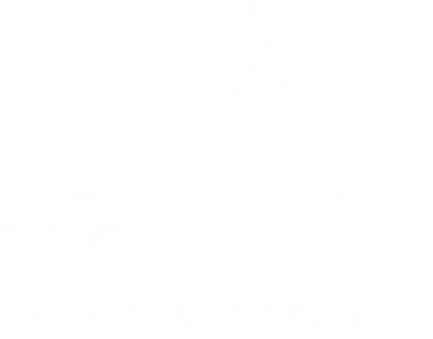 Young Motorsports LLC, established 2024